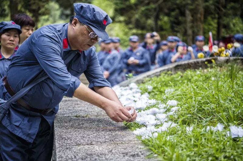 1530936616880817.jpg 66766.jpg